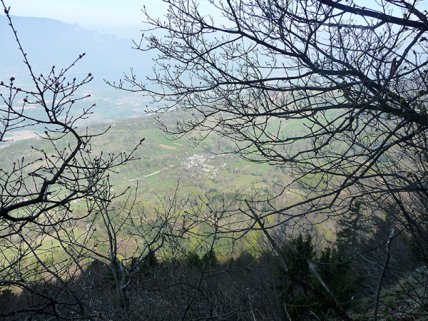 P1000712