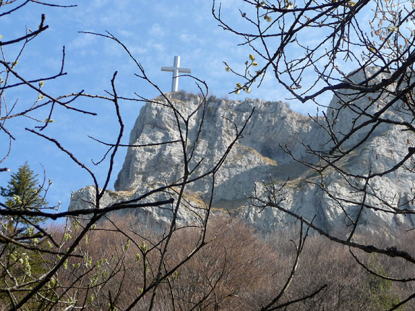 P1000718