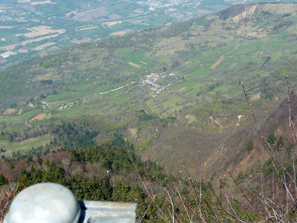P1000739