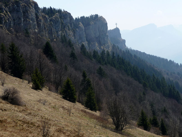P1000754