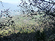 P1000712
