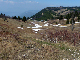 P1000755