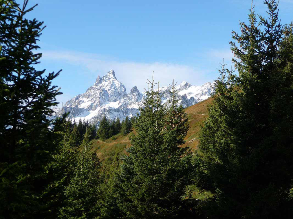 P1040778
