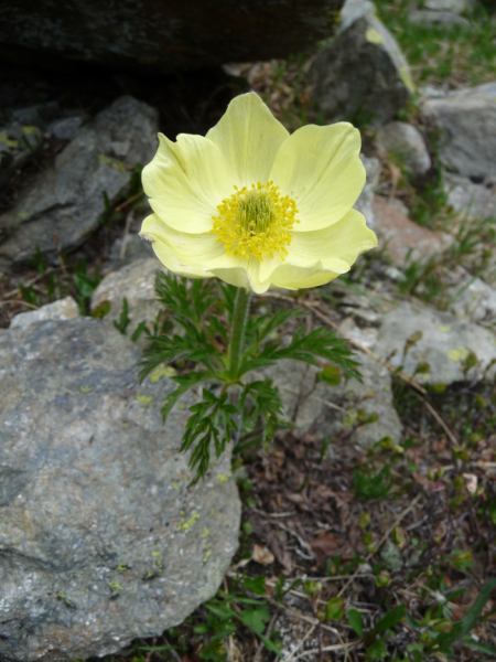 P1060587