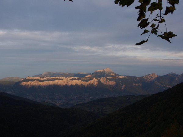 PA180410 (1)