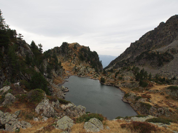 PA180431 (1)