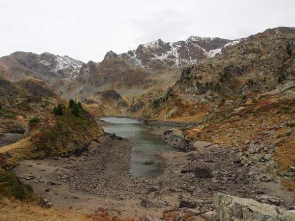PA180432 (1)