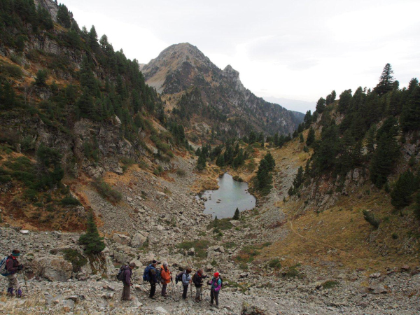 PA180433 (1)