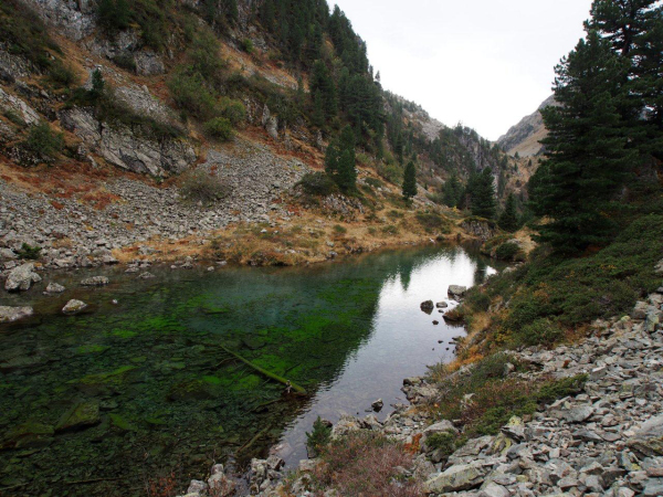 PA180435 (1)