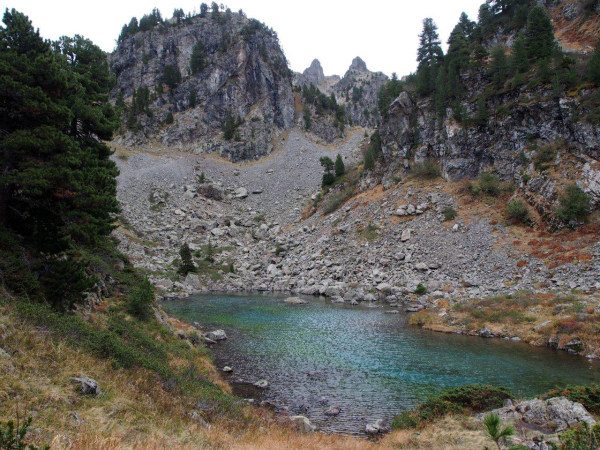 PA180437 (1)
