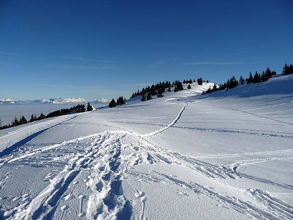 P1000202