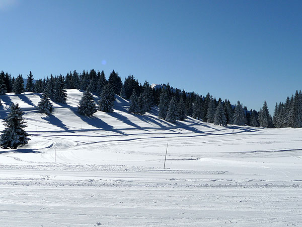 P1000216