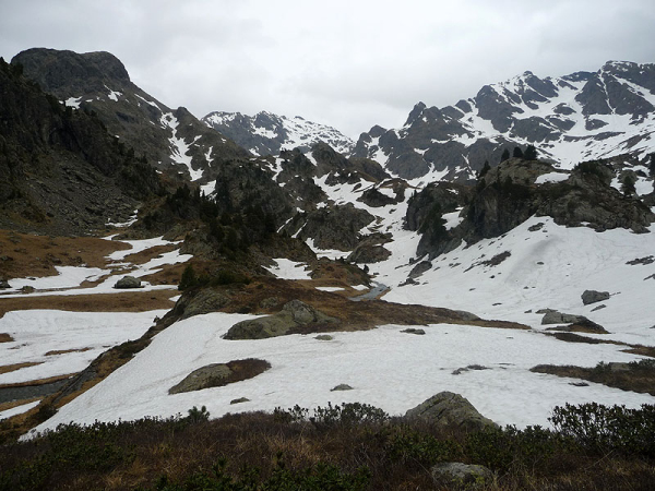 P1000960