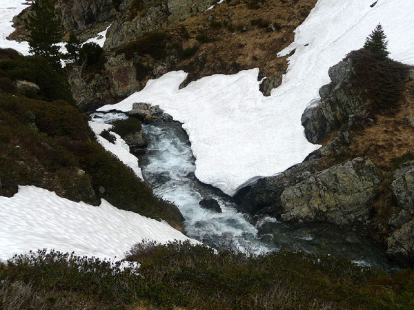 P1000961