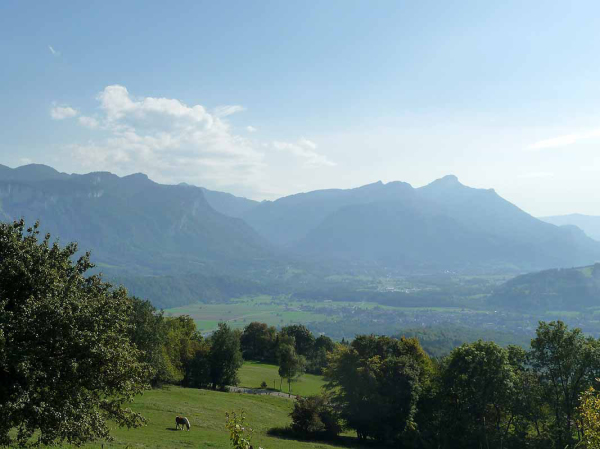 P1040771
