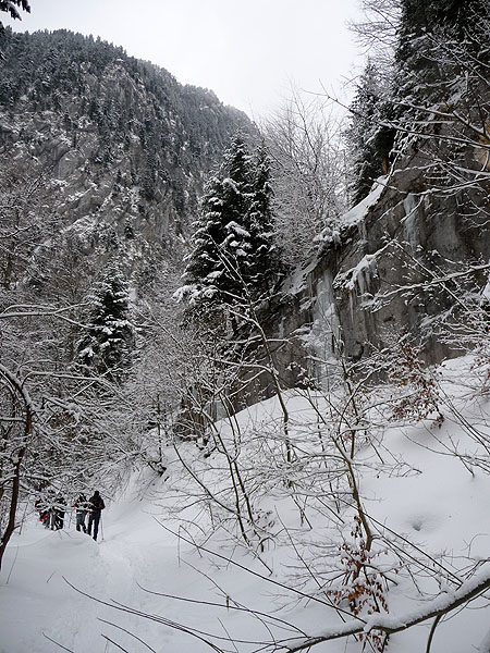101_montée dans la foret des Eparres