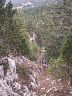 le sentier assez raide monte dans la fort parmi les lapiaz