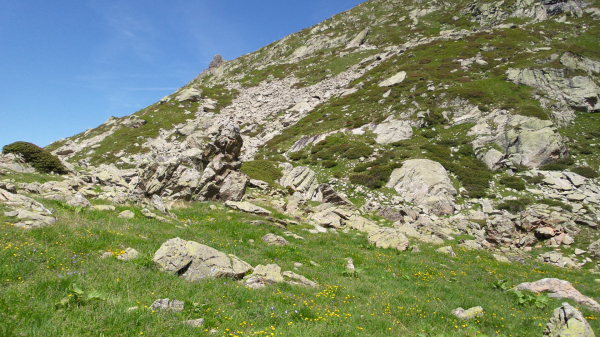 20150618_123903