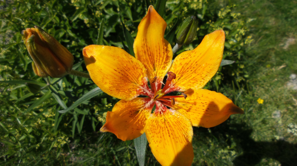 20150618_151708