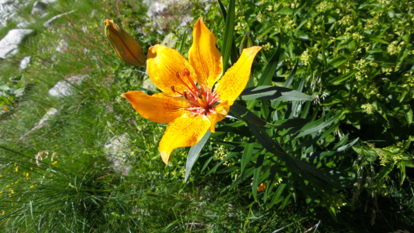 20150618_151713