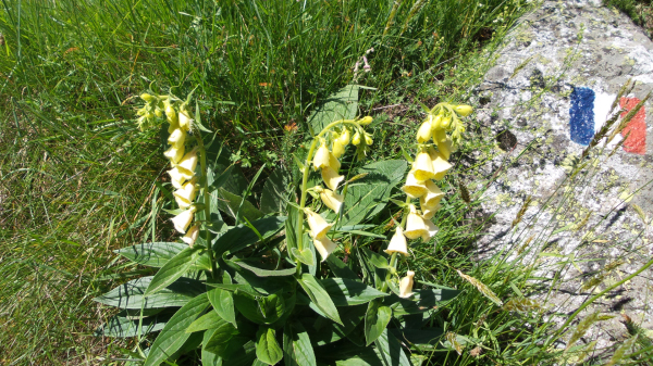 20150618_152924