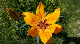 20150618_151708