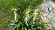 20150618_152924