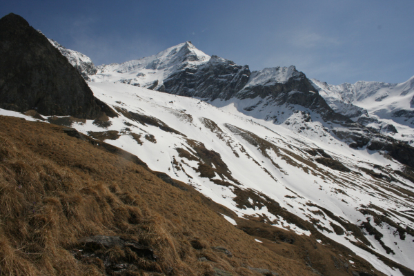 22_Mont