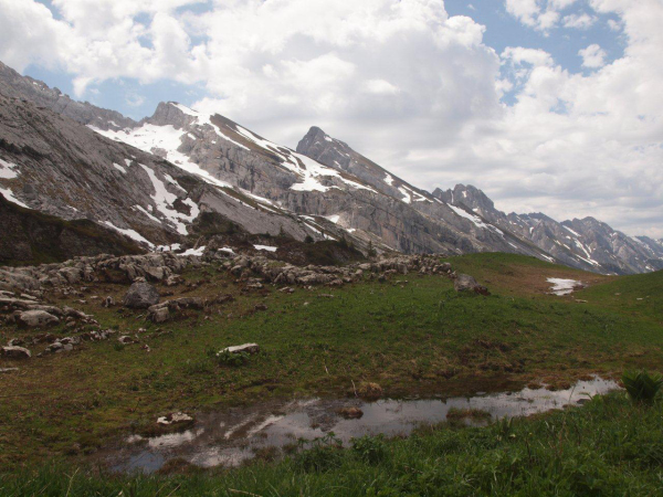 P6075453