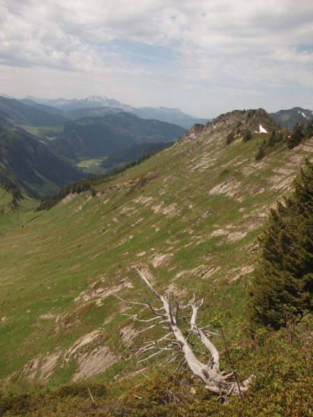 P6075459