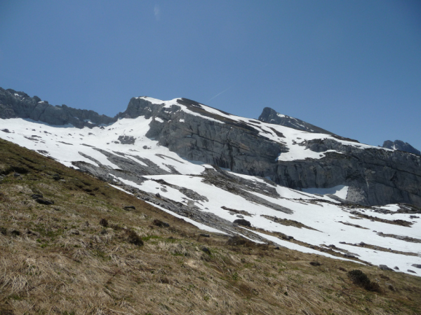 P1060481