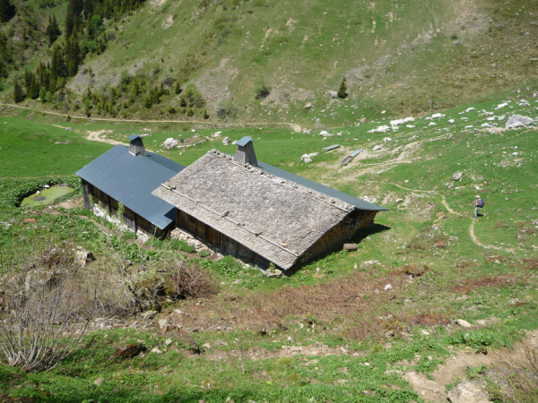 P1060484