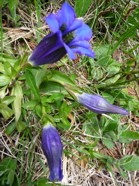 P1060490