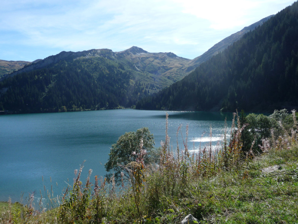 P1070153-1