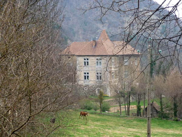 P1000615