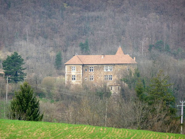 P1000624