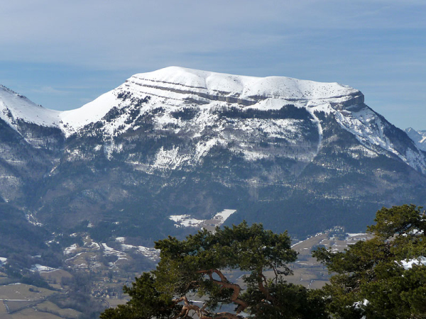 P1000533