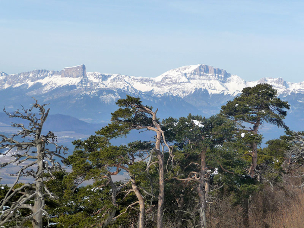 P1000537