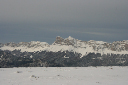 IMG_5553