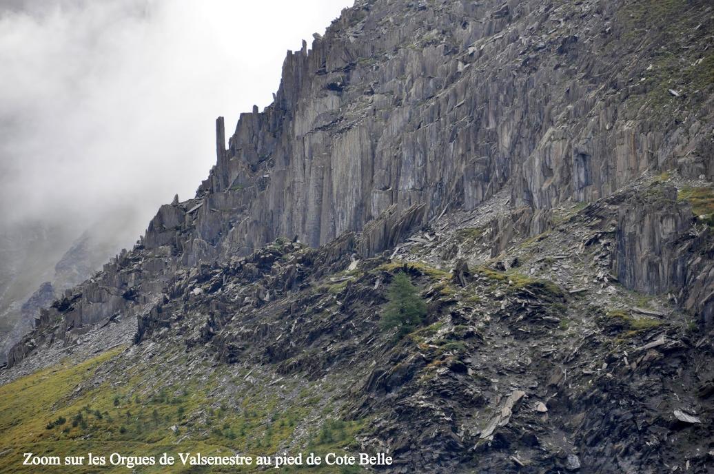 Photo : Zoom sur les Orgues de Valsenestre