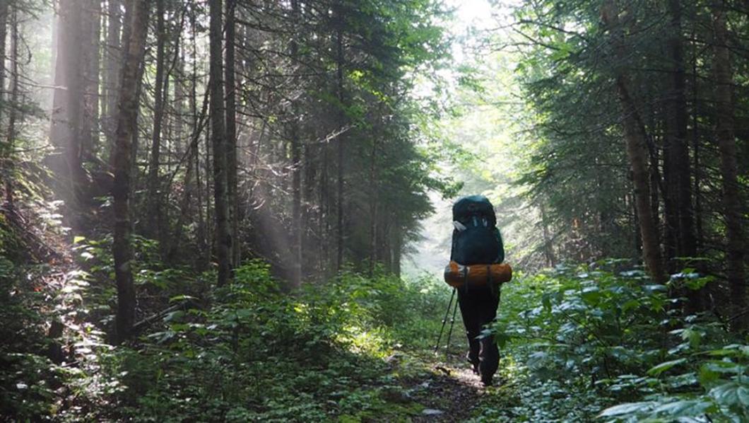 Résultat de recherche d'images pour "sentier"